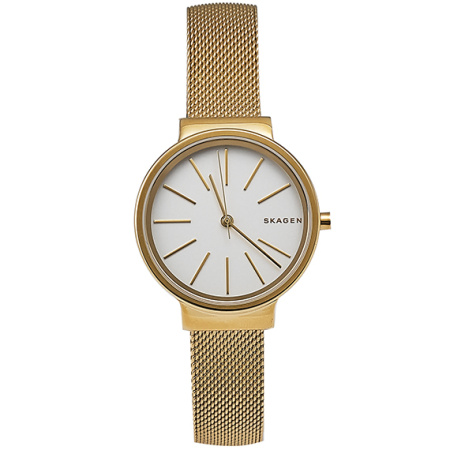 Часы наручные Skagen SKW2477