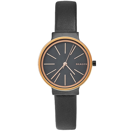 Часы наручные Skagen SKW2480