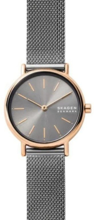 Часы наручные Fossil Skagen SKW2996