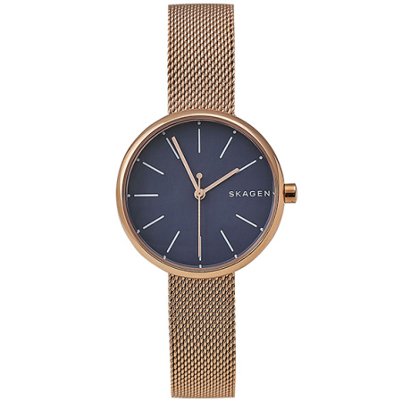 Часы наручные Skagen SKW2593