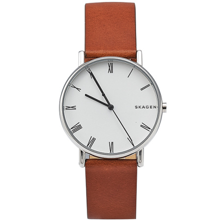 Часы наручные Skagen SKW6427