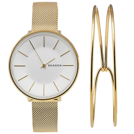 Часы наручные Skagen SKW1104