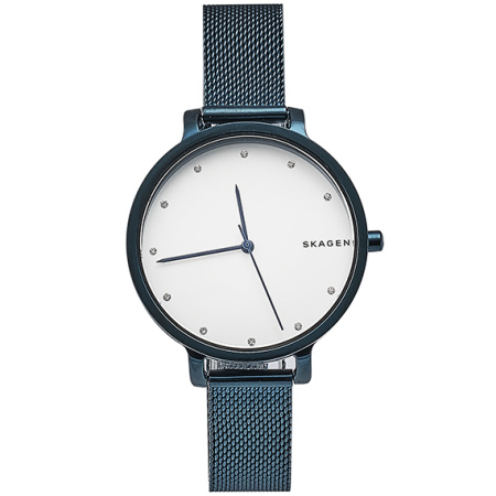 Часы наручные Skagen SKW2579