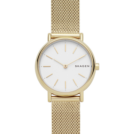 Часы наручные Skagen SKW2693 