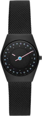 Часы наручные Skagen SKW3088