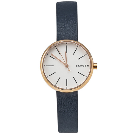 Часы наручные Skagen SKW2592