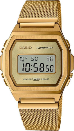 Часы наручные Casio A1000MG-9EF