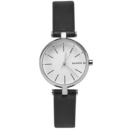 Часы наручные Skagen SKW2639