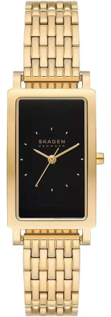 Часы наручные Skagen SKW3113