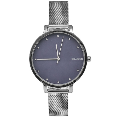 Часы наручные Skagen SKW2582