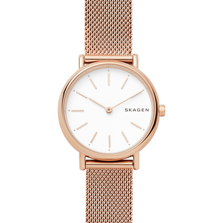 Часы наручные Skagen SKW2694 