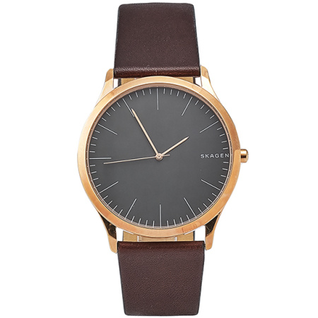 Часы наручные Skagen SKW6330