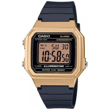 Часы наручные Casio W-217HM-9AVEF