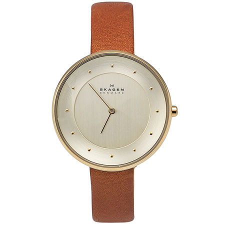 Часы наручные Skagen SKW2138