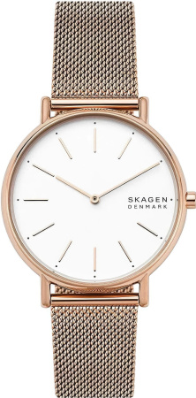 Часы наручные Skagen SKW2784