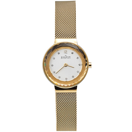 Часы наручные Skagen SKW2800